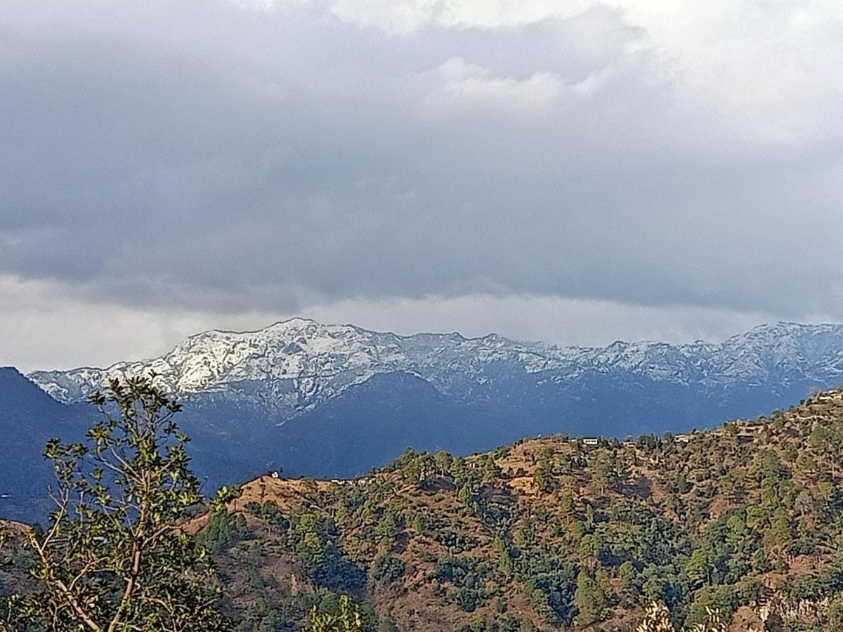 Kokhliyal Gaon Shiva Valley Resort מראה חיצוני תמונה
